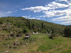 Hebergement Ferme des Olivettes : photos des chambres