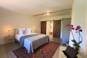 Hebergement Chateau Olmet : Chambre Double Deluxe avec Douche