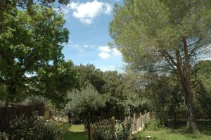 Hebergement La Bastide des Oliviers : photos des chambres