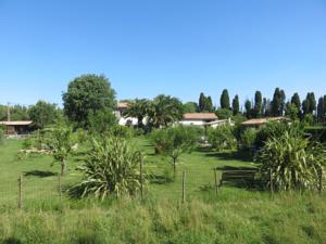 Appartement dans Mas Provencal : photos des chambres