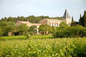 Hebergement domaine de malvies : photos des chambres