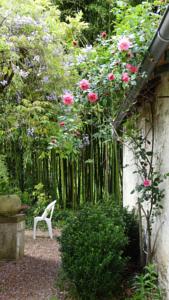 Chambres d'hotes/B&B Moulin de la Papeterie B&B : photos des chambres