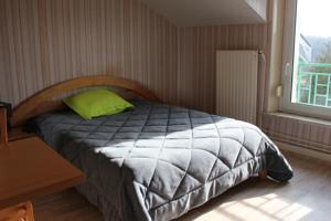 Hotel L Etoile d'Argent : photos des chambres