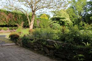 Hebergement Budor : photos des chambres