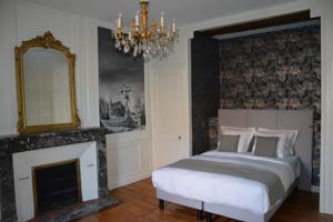 Chambres d'hotes/B&B Demeure Saint Martin : photos des chambres