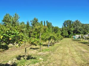 Hebergement Ferienwohnung Allemagne-en-Provence 100S : photos des chambres