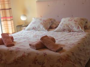 Chambres d'hotes/B&B Le Jardin : photos des chambres