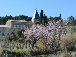 Hebergement domaine de malvies : photos des chambres