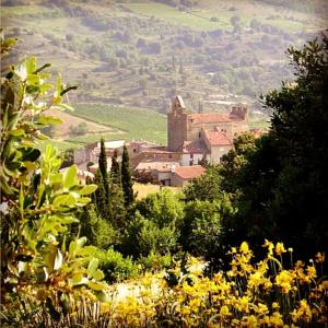 Hebergement Gite Vigneron du Domaine d'Alon : photos des chambres