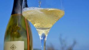 Hebergement Gite Vigneron du Domaine d'Alon : photos des chambres