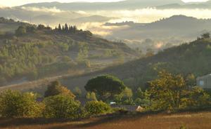 Hebergement Gite Vigneron du Domaine d'Alon : photos des chambres