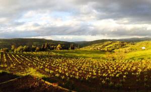 Hebergement Gite Vigneron du Domaine d'Alon : photos des chambres