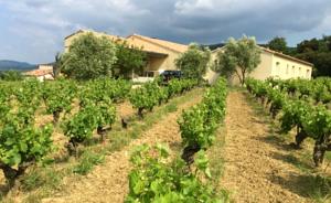Hebergement Gite Vigneron du Domaine d'Alon : photos des chambres