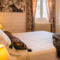 Chambres d'hotes/B&B La Coustille Chambres et Table d'Hotes : photos des chambres