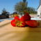 Chambres d'hotes/B&B Luxury Bed and Breakfast Maison a votre Sante : photos des chambres