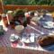 Appartement Mistoulin : photos des chambres