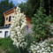 Hebergement Cora Venez : photos des chambres