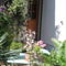Chambres d'hotes/B&B Chambre d'Hotes Orchidees : photos des chambres