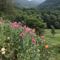 Appartement Chalet Eterlou : photos des chambres