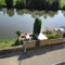 Hebergement Gite Alpes Mancelles : photos des chambres