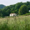Chambres d'hotes/B&B Chambre de l'Ourse : photos des chambres