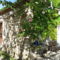 Chambres d'hotes/B&B Le Jardin : photos des chambres