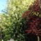 Chambres d'hotes/B&B Les Champs de Tracy : photos des chambres