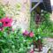 Chambres d'hotes/B&B Chambres d'hotes La Villageoise : photos des chambres