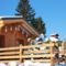 Hebergement Les Chalets des Ayes I : photos des chambres