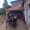 Hebergement Chez Virginie : photos des chambres