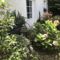 Chambres d'hotes/B&B Le poirier : photos des chambres