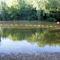 Hebergement Village Camping Les Vignes : photos des chambres