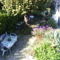 Appartement Les lilas blancs : photos des chambres