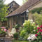 Hebergement Lily cottage : photos des chambres