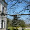 Chambres d'hotes/B&B Chateau de la Comtesse : photos des chambres