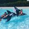 Hebergement Camping Les Sources : photos des chambres