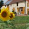 Hebergement Gite La Ferranderie : photos des chambres