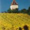 Hebergement The Hansen House : photos des chambres