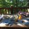 Chambres d'hotes/B&B Cabane de Carlat : photos des chambres