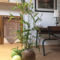Hebergement Le Chat Blanc Gite : photos des chambres