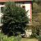 Hebergement Maison du Barry : photos des chambres
