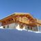 Hebergement Chalet Les Chalets Des Ayes 8 : photos des chambres
