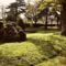 Hebergement Le Clos des Marronniers : photos des chambres