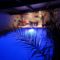 Hebergement Le Tacot : photos des chambres