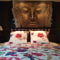 Hebergement L'Hermine Occitane B&B : photos des chambres