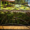 Hebergement mas cevennes piscine naturelle charme exception : photos des chambres