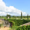 Hebergement Domaine De Lavit : photos des chambres