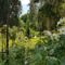 Chambres d'hotes/B&B Le jardin de Saint Jean : photos des chambres