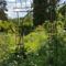 Chambres d'hotes/B&B Le jardin de Saint Jean : photos des chambres