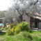 Chambres d'hotes/B&B Appartement avec grand jardin : photos des chambres